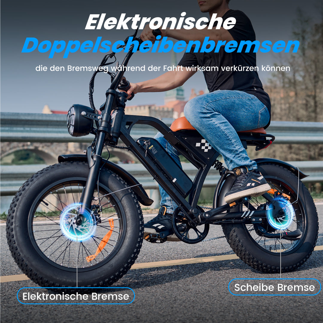 EB5 Elektrofahrrad